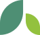 leaf 5