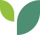 leaf 6